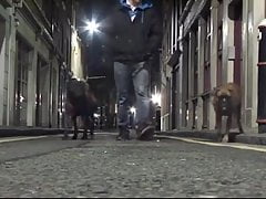 Thierry Schaffauser and Duke (DFL P3)