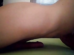 Bed humping jacking cum stain