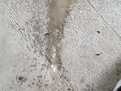 Pissing in public at the park