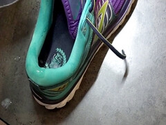 gf Laufschuhe besamt