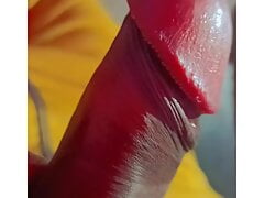 Ankita Tiwari viral sex video Big Penis Desi