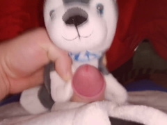 Husky Mutt Part.1