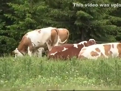 Austrian Fuckbuddys (1)