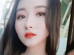 Dreamcatcher Sua cum tribute