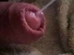 sperm without a hand!