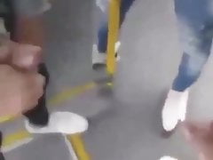 Belgrade bus