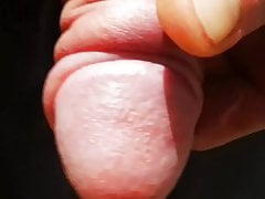 Extreme Penis Pump