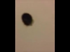 non-professional public restroom out door comp