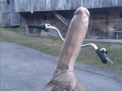 Bycicle with a butt-plug - Bicicleta con consolador