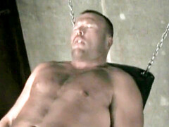 Dungeon, grizzly, daddies