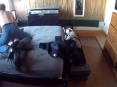 When a dog is ridding like a horse 4