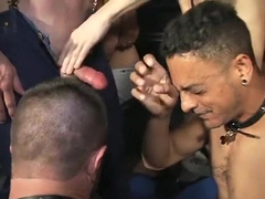 Naughty dudes kissing and sucking dicks