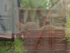 Leo Grand - Crazy Xxx Video Homo Bareback Fantastic Pretty One