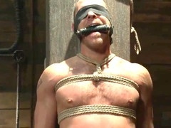 Humiliation, oral job, bareback domination