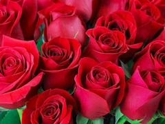 Mature hardcore action featuring Desi Mazaa