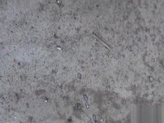 Asian twinks face spermed