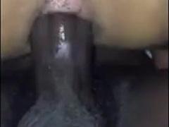 Breeding  16