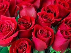 Hard-core, finger-tickling, ai