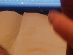Pussy cat