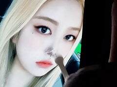 Momoland Jane cum tribute