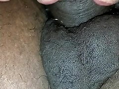 Black Cock BJ