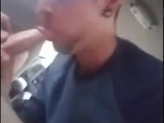 Cum sucking in a car 245