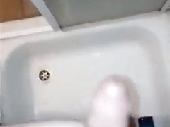 Indian cock