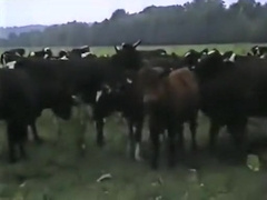 Exotic male in horny action, blond boys homo porn video