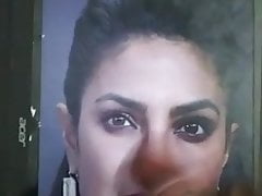Priyanka Chopra Hollywood Bollywood Actress Hot Cum Tribute
