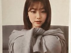 Cumtribute Kang Mina 1