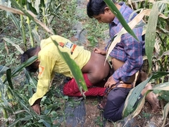 Indian Desi Flicks - A laborer working in a corn area plowed his accomplice's butt - Hindi Voice