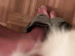 Wonderful Fox Tail Cumshot