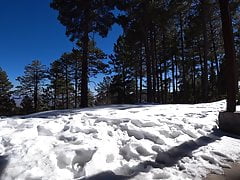 Crossdressing in snow Tucson AZ Mt Lemmon 2021 02 04