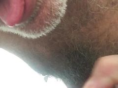 EATING SEBUM FROM THE PENIS
