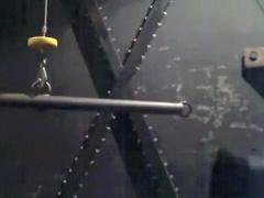 der Club: SchweineZucht