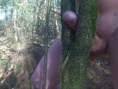 Baum ficken