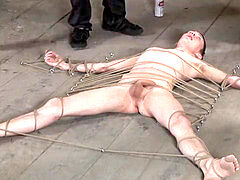 Coarse sm fuckfest for a lewd gay