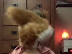 Teenager femboy fox juggles on meaty pony penis