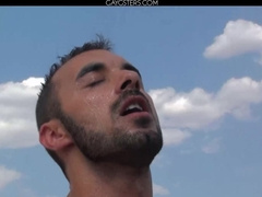 Mediterranean Summer