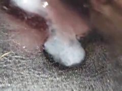 homemade cumshot compilation