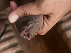 Desi boy shaking dick