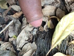 Enjoy for Indian prick