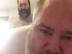 Two bears have a fun afternoon