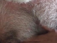 furry dad