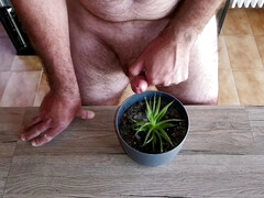 Cicci77 feeds her plants with pee and sperm to make them luxuriant