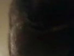 Fat Bear Sucks Me Off