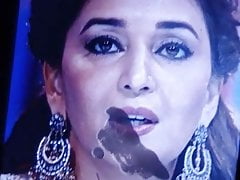 Madhuri Dixit Cum Tribute