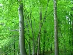 JACKING AT THE PUBLIC PARK LAKE