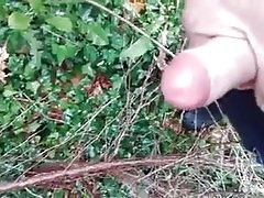 Outdoor cum