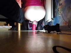 MOI